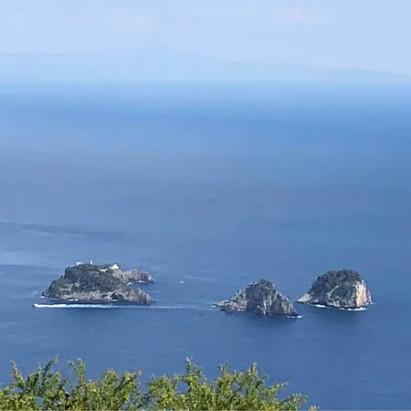 Nettuno - Amalfi Coast ソレント